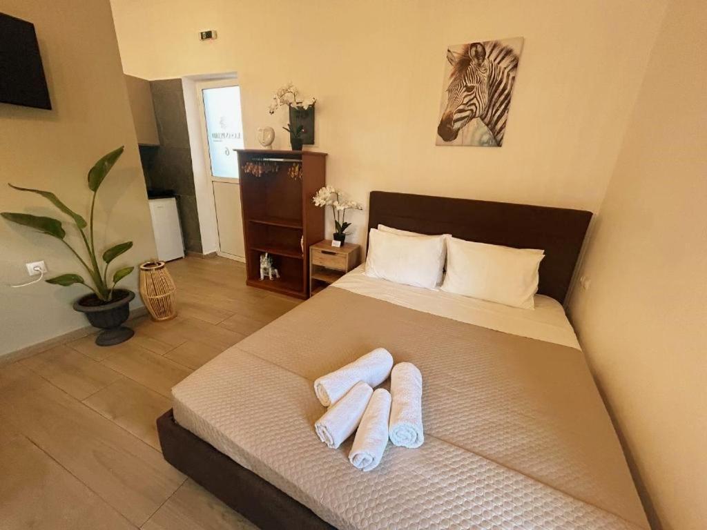 Apartment Pedro Navarino Vi *