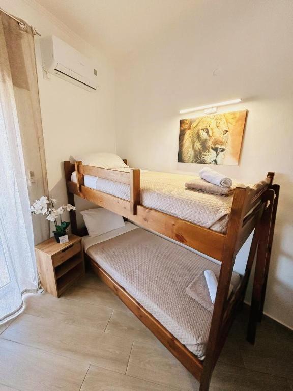 Apartment Pedro Navarino Vi